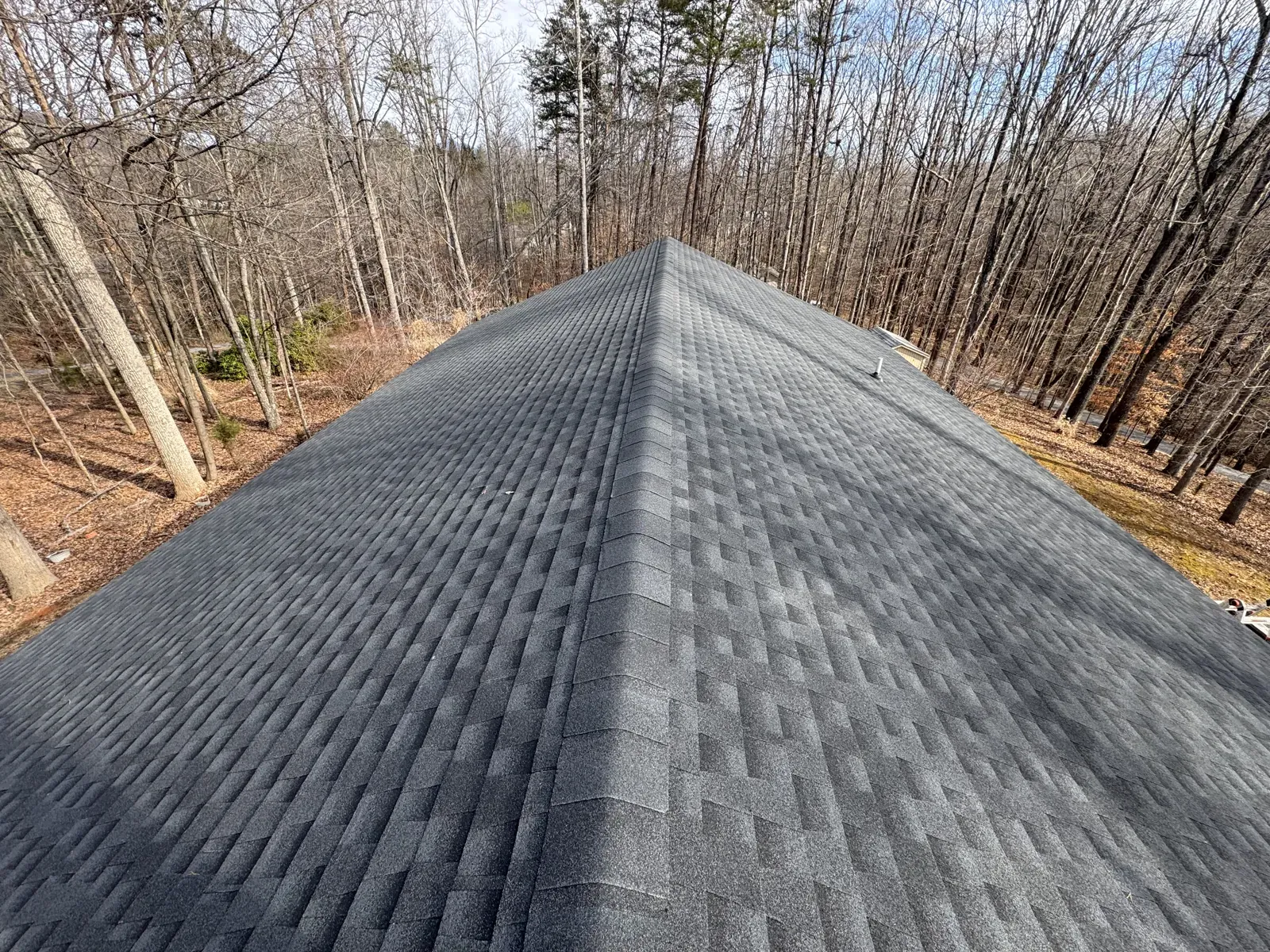 Roof ridge above a wooded lot near Roanoke, VA