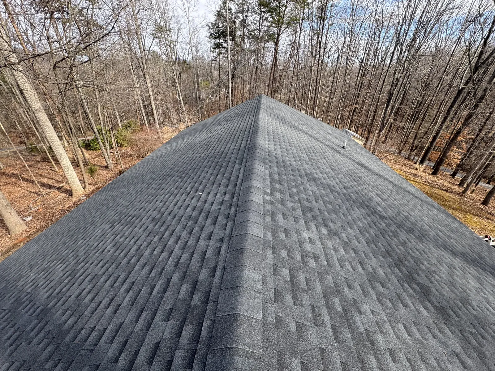 Roofline beside a wooded hillside near Thaxton, VA